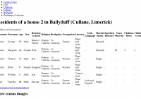 National Archives: Census of Ireland 1911